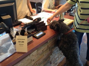 A dog